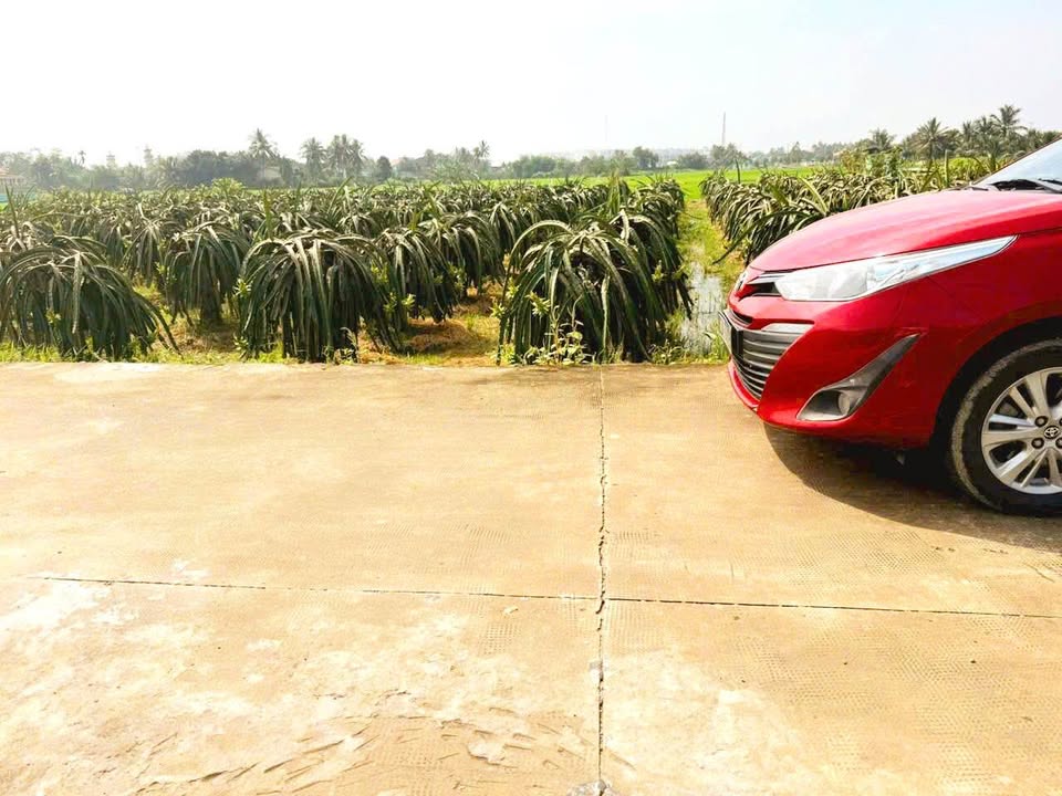 Đất thổ cư Tân Trụ 190m² giá 890 triệu - Cơ hội đầu tư tuyệt vời!