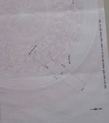 Lô đất 125m² đường Phạm Như Xương, Đà Nẵng - Giá 2 tỷ - Cơ hội đầu tư hấp dẫn!