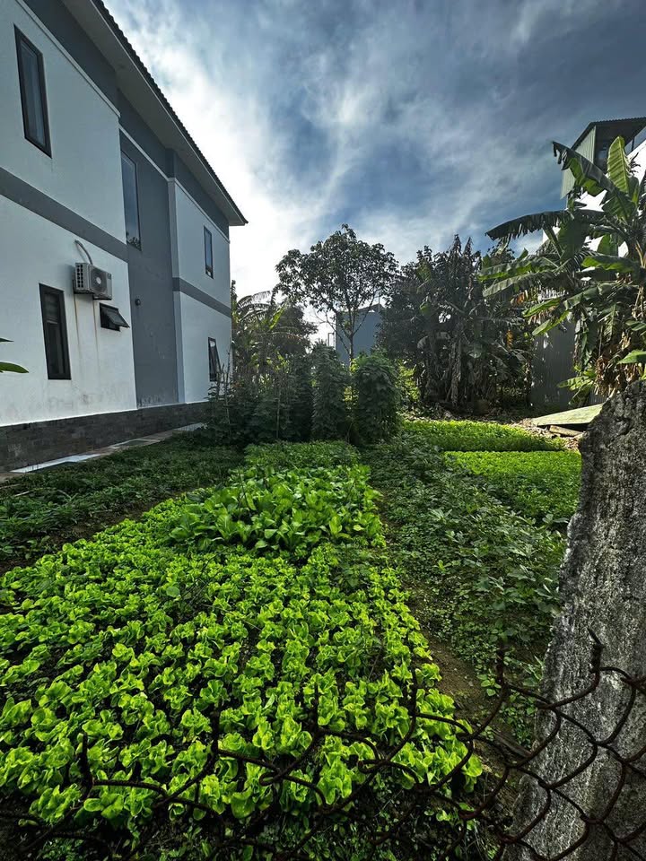 Đất nền Hòa Vang Đà Nẵng 96m² giá 2 tỷ - Chính chủ bán gấp trước Tết!