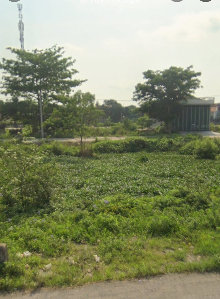 Đất mặt đường 477, huyện Gia Viễn 120m² giá chỉ 7 tỷ - Vị trí vàng cho đầu tư