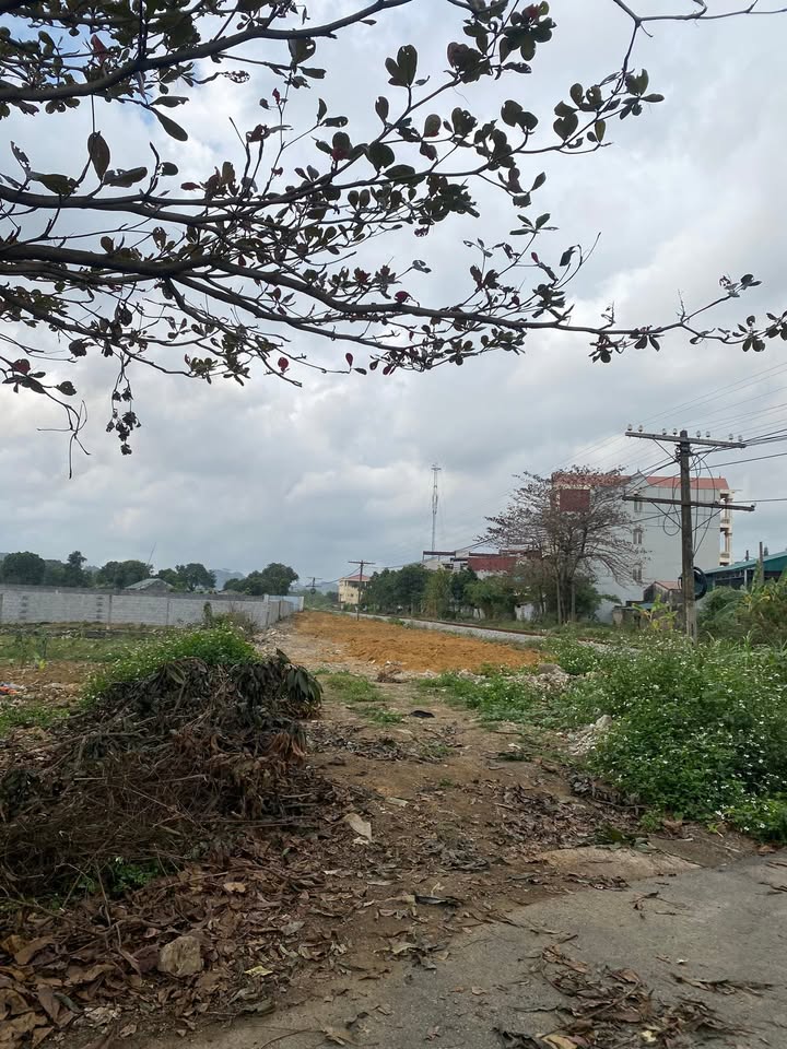 Đất nền Phường Tây Sơn, Tam Điệp 75m² giá 700 triệu - Đầu tư lý tưởng!