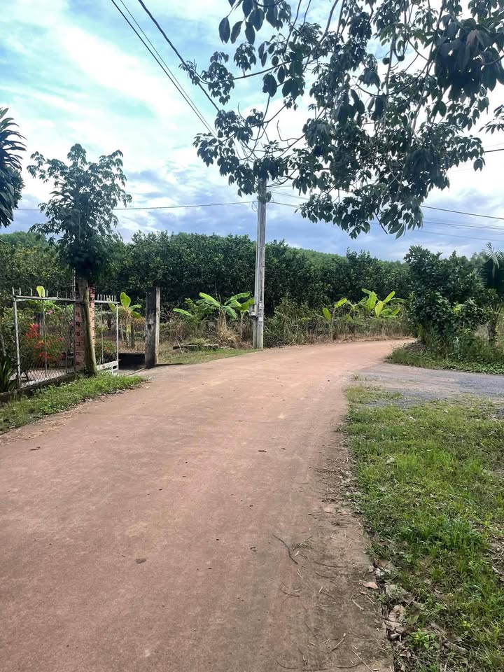 Đất nền 1000m² xã Tân An, huyện Vĩnh Cửu chỉ 800 triệu - Sổ đỏ chính chủ!