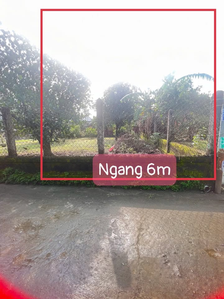 Đất nền Hòa Bắc Đà Nẵng 94m² giá 1.3 tỷ - Sổ hồng chính chủ, vị trí đẹp!