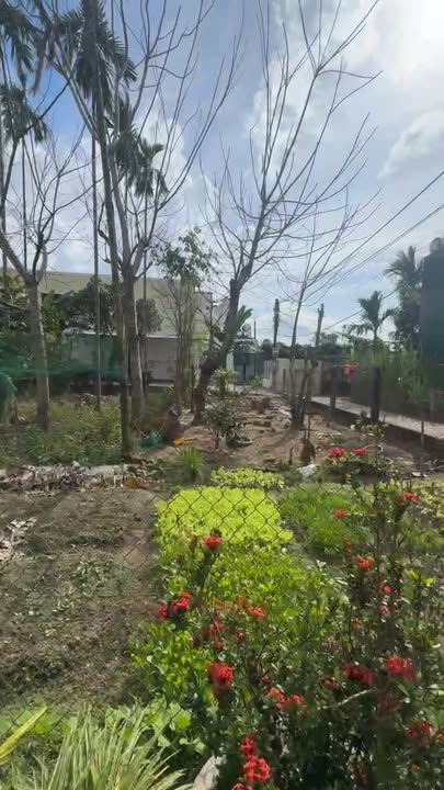 Đất nền Phường Nghĩa Lộ 90m² giá 790 triệu - Lô góc 3 mặt tiền