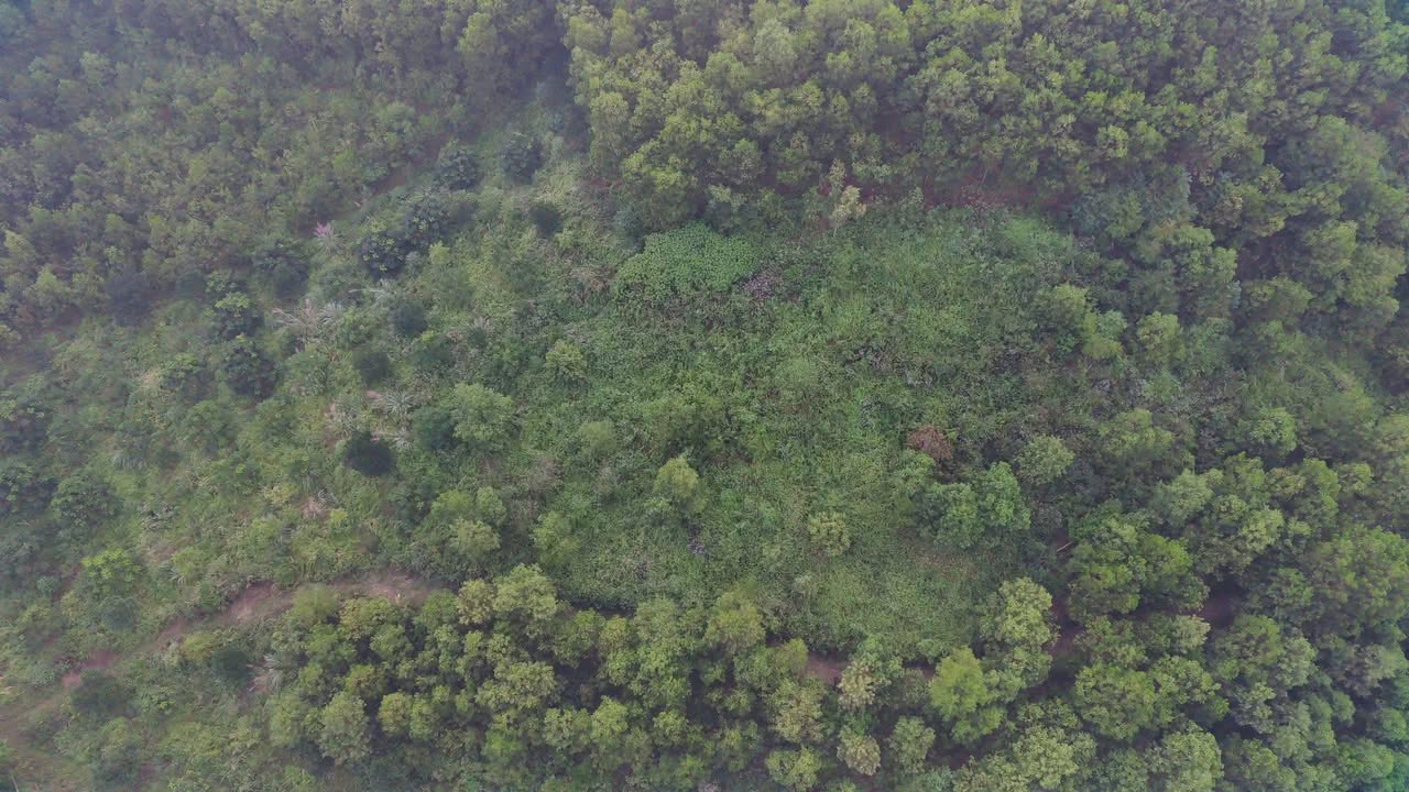 Đất Farm 5000m² tại Yên Lạc, Phú Lương - Giá chỉ 300 triệu