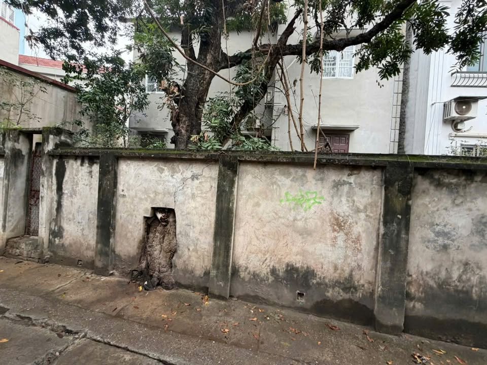 Đất mặt ngõ Vân Canh, Huyện Hoài Đức, 56m² giá 9 tỷ - Cơ hội đầu tư hiếm có!