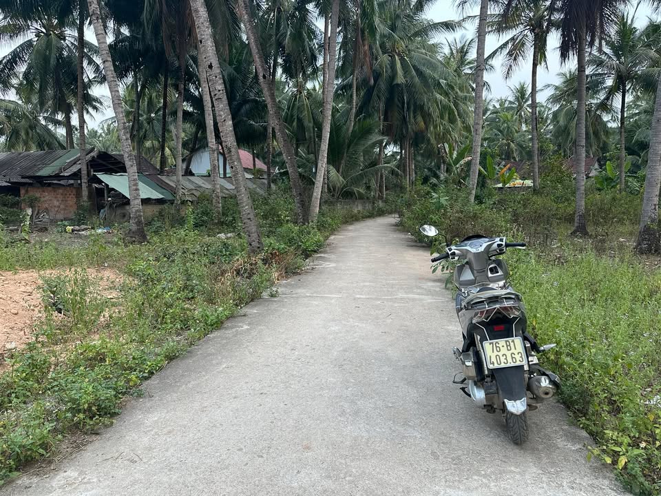 Mảnh vườn Tấn Thạnh 2, Hoài Nhơn 920m² chỉ 2.6 tỷ - Đầu tư lý tưởng!