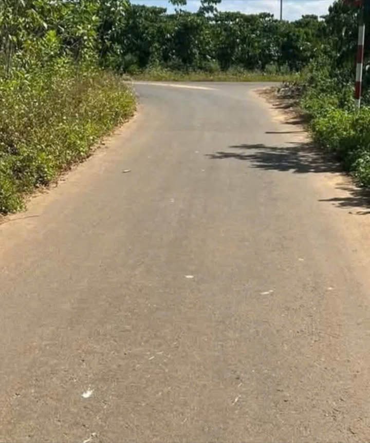 Đất thổ cư 1400m² tại Đoàn Thị Điểm, Bảo Lộc - Giá chỉ 2.8 tỷ thương lượng