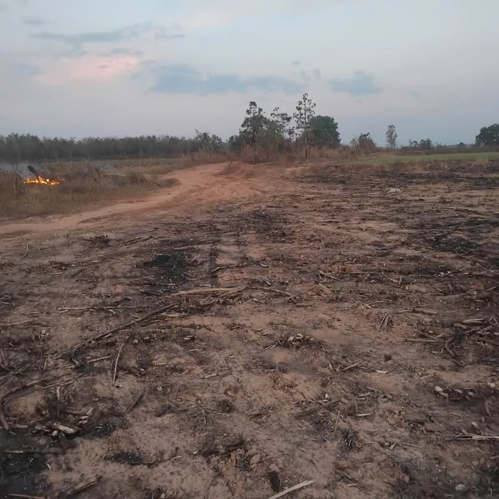 Đất nông nghiệp tại xã Ea Lê, huyện Ea Súp, 10ha giá 7 tỷ - Cơ hội đầu tư tuyệt vời!