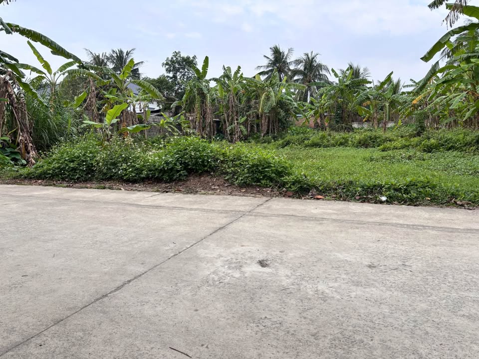 Đất nền Hậu Lộc Mới 604m² giá chỉ 600 triệu - Cơ hội đầu tư tuyệt vời!