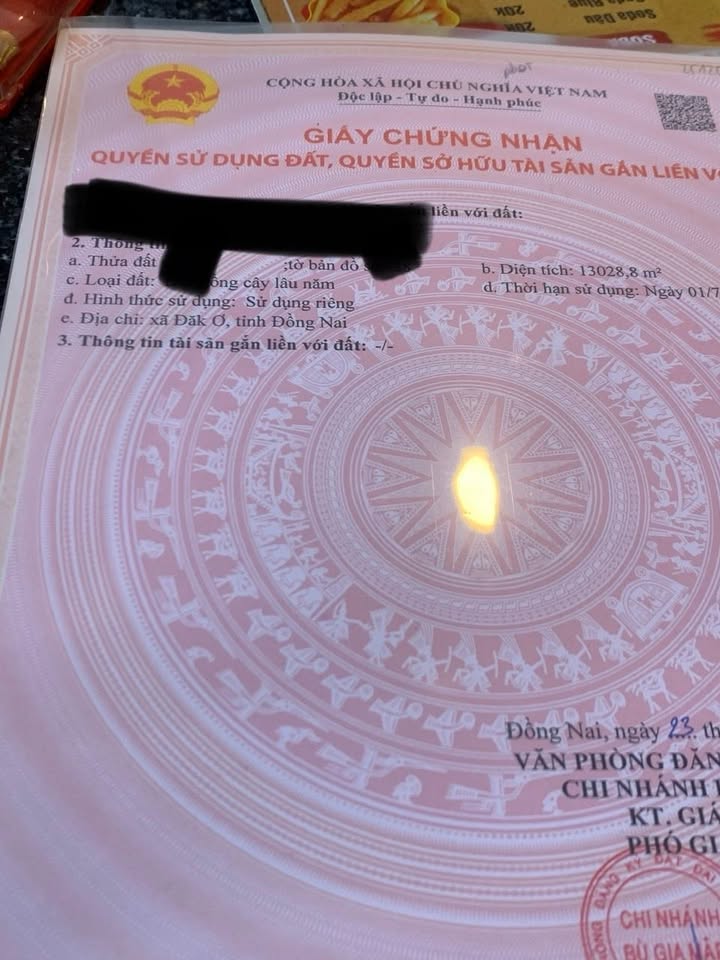 Đất nền 10,000m² xã Đak Ơ, huyện Bù Gia Mập, giá chỉ 1 tỷ - Sổ đỏ chính chủ!