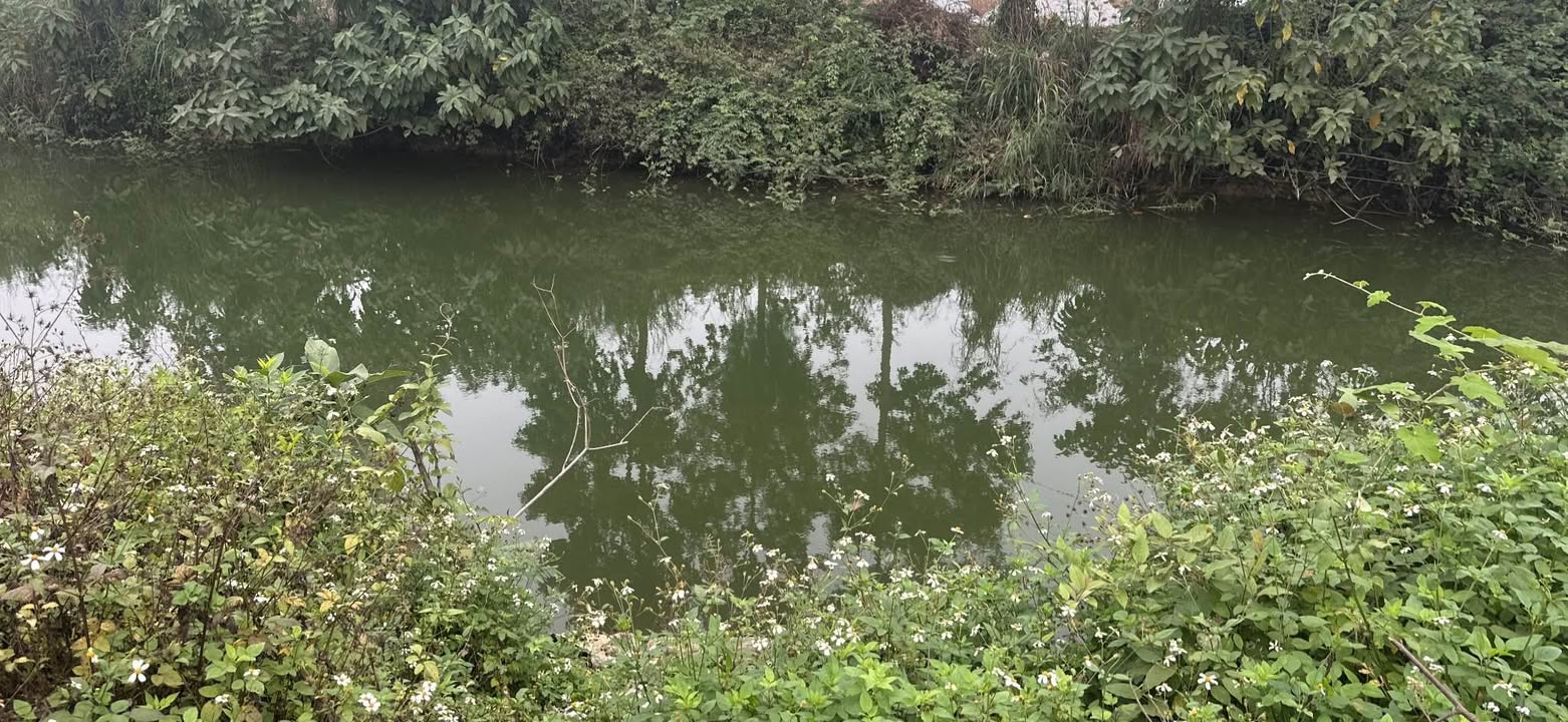 Đất nền tại đường tỉnh lộ Vitri, huyện Ba Vì, 600m² - Giá chỉ 6 tỷ!