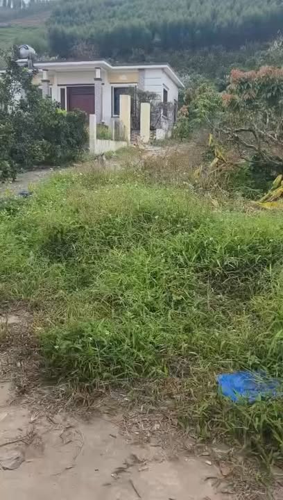 Đất nền thổ cư 400m², xã Việt Thống, Bắc Ninh - Giá chỉ 1 tỷ!