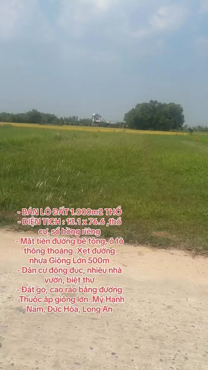 Đất thổ cư 1.000m² tại Ấp Giồng Lớn, Đức Hòa - Giá 6.2 tỷ - Đầu tư sinh lời ngay!