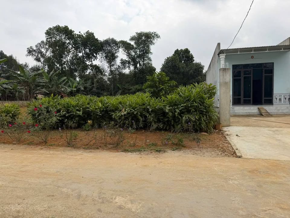 Đất thổ cư 340m² Thọ Tân, Triệu Sơn giá chỉ 500 triệu - Cơ hội đầu tư lý tưởng!