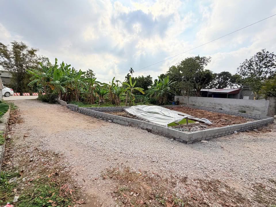 Đất nền thôn Cát Dương, xã Tống Phan, 95m² chỉ 1 tỷ - Vị trí đắc địa, cơ hội đầu tư hiếm có!