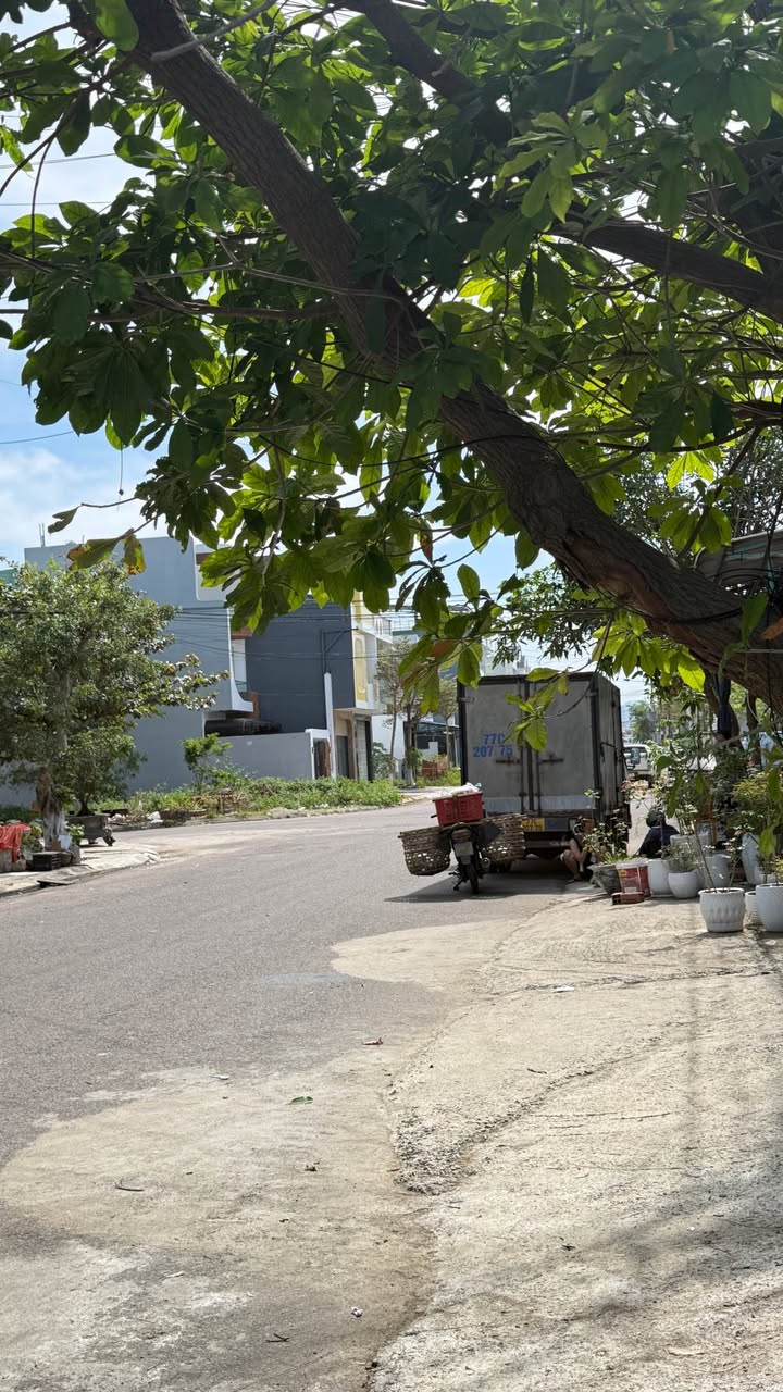 Đất mặt tiền Trần Văn Dũng, Quy Nhơn 80m² giá 3.8 tỷ - Đầu tư sinh lời ngay!