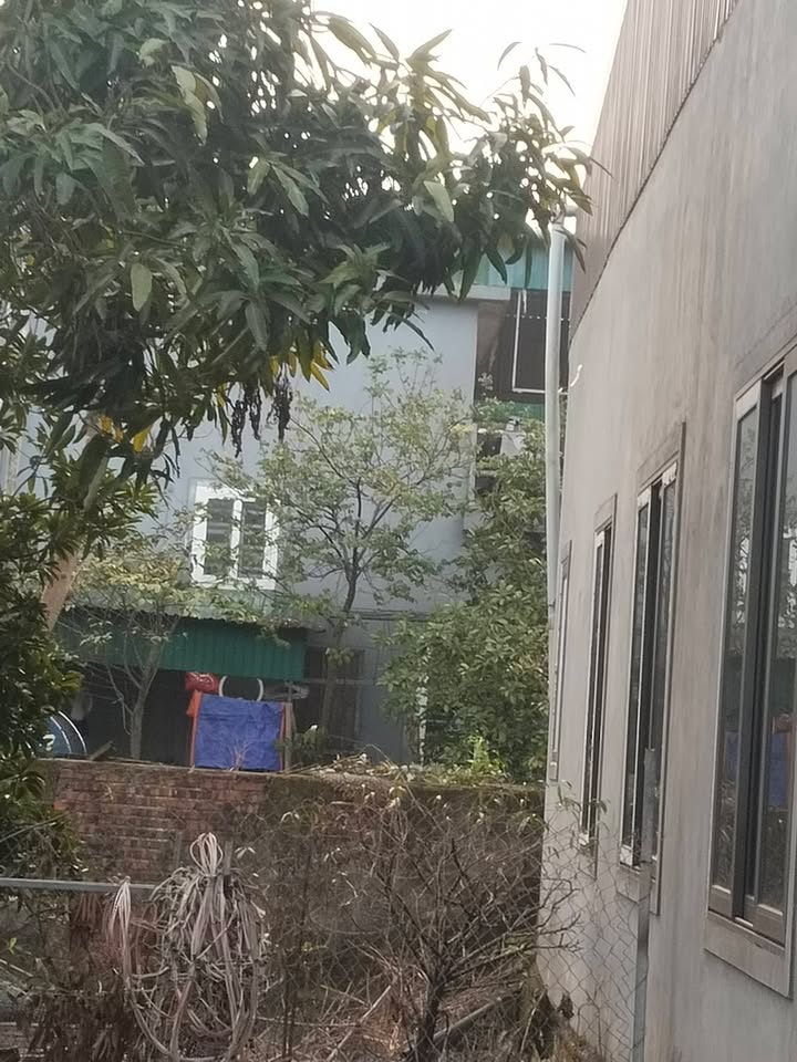 Đất nền chính chủ tại phường Thành Sen, Hà Tĩnh 98m² giá 1 tỷ - Sổ hồng đầy đủ!