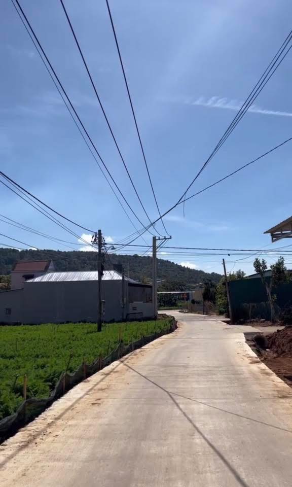 Đất nền Phú Thạnh, Đức Trọng 260m² giá 1.4 tỷ - Đầu tư sinh lời ngay!