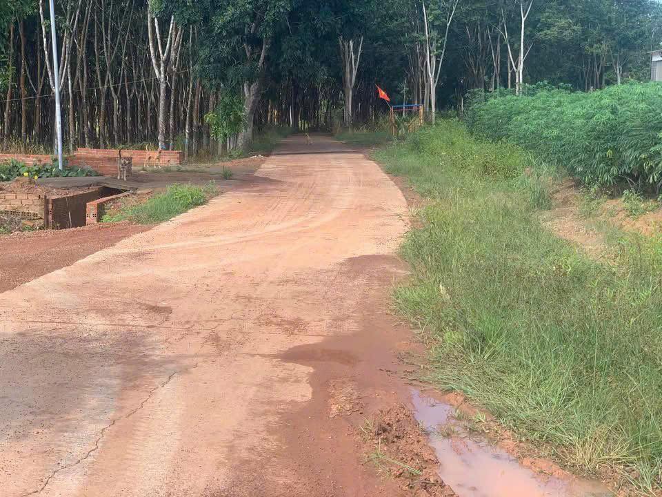 Đất nền KP2 Tiến Thành - Đồng Xoài 644m² giá chỉ 700 triệu - Cơ hội sở hữu đất thổ cư!