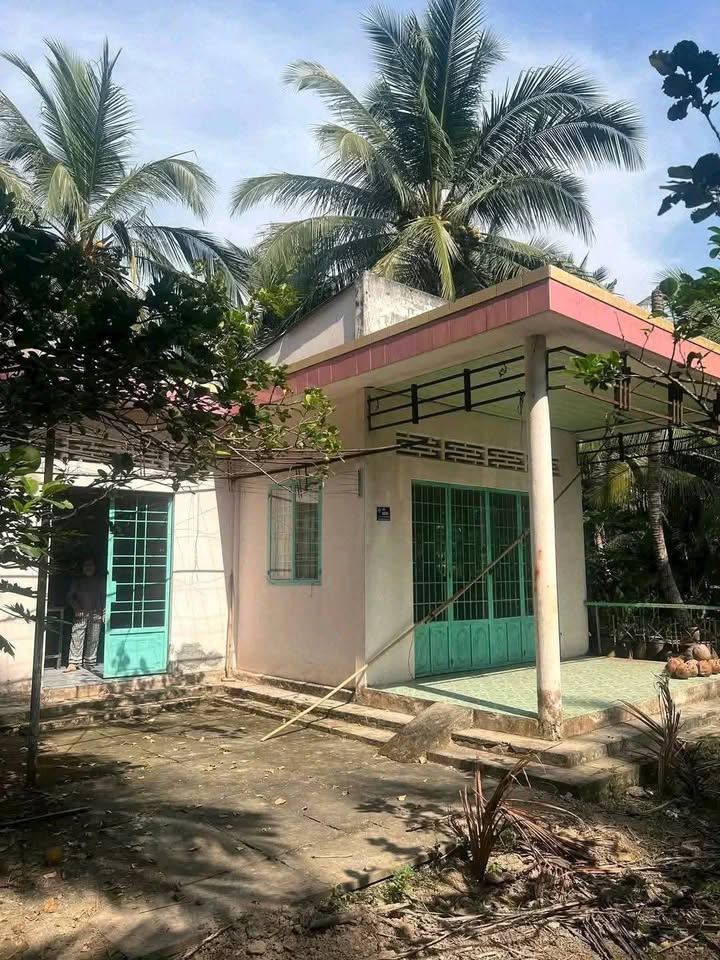 Farm cho thuê tại Phường Phú Khương, Bến Tre 3000m² - Không gian xanh lý tưởng cho chăn nuôi và trồng trọt!