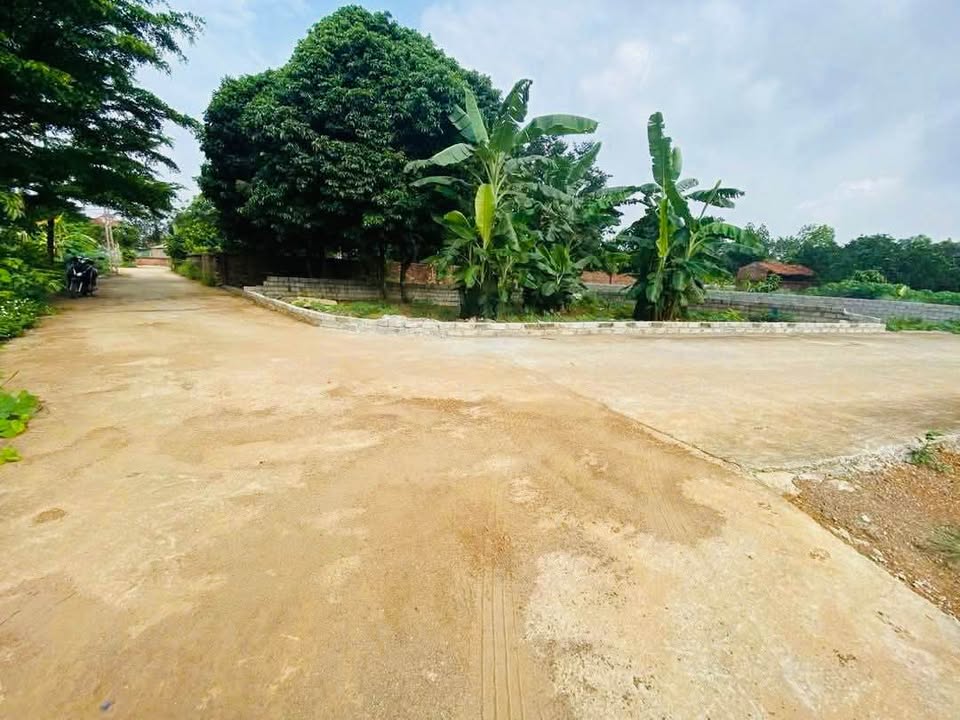 Đất Hòa Lạc 60m² giá 2.4 tỷ - Chủ thiện chí bán gấp!