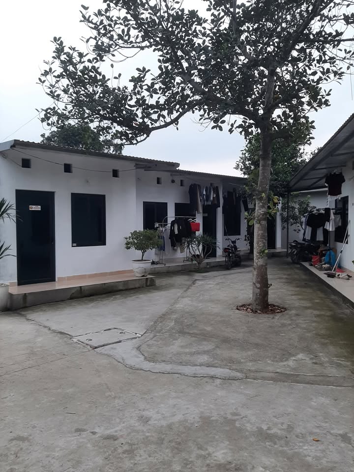 Phòng trọ cho thuê tại Phường Dữu Lâu 30m² - Tiện nghi đầy đủ, giá thỏa thuận!