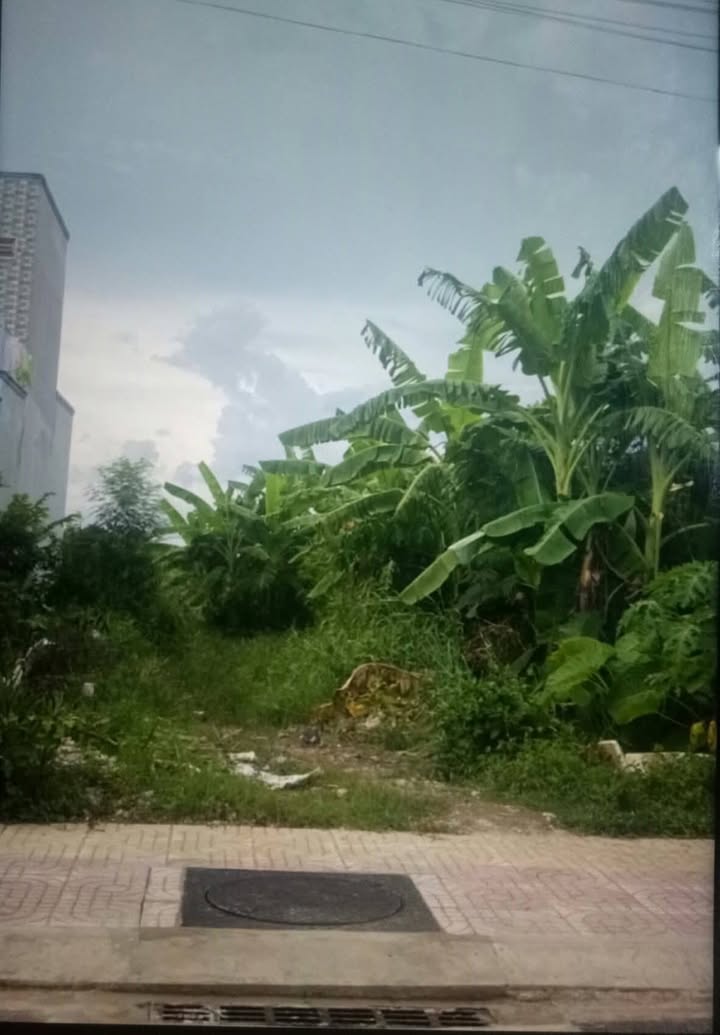 Đất ở đô thị tại Thị trấn Tân Hòa, Gò Công Đông 180m² giá 1,4 tỷ - Sổ đỏ chính chủ