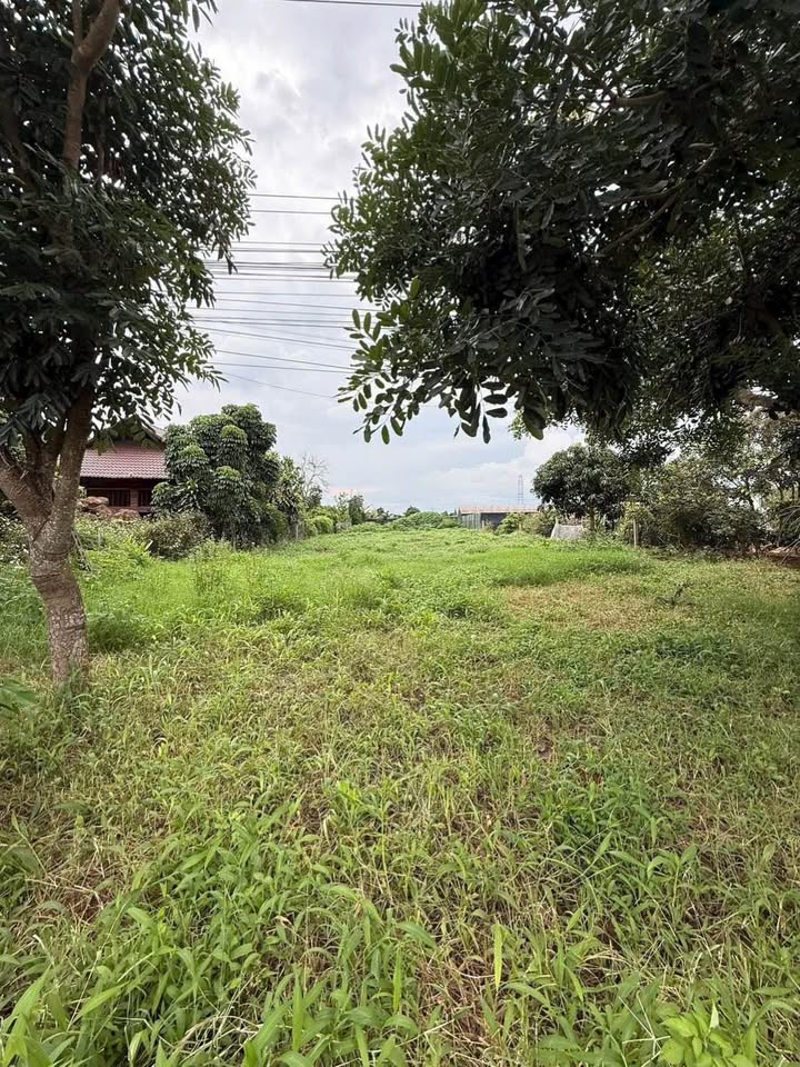 Đất mặt tiền Quốc lộ 20, xã Đức Trọng, 969m² - Giá đầu tư hấp dẫn!