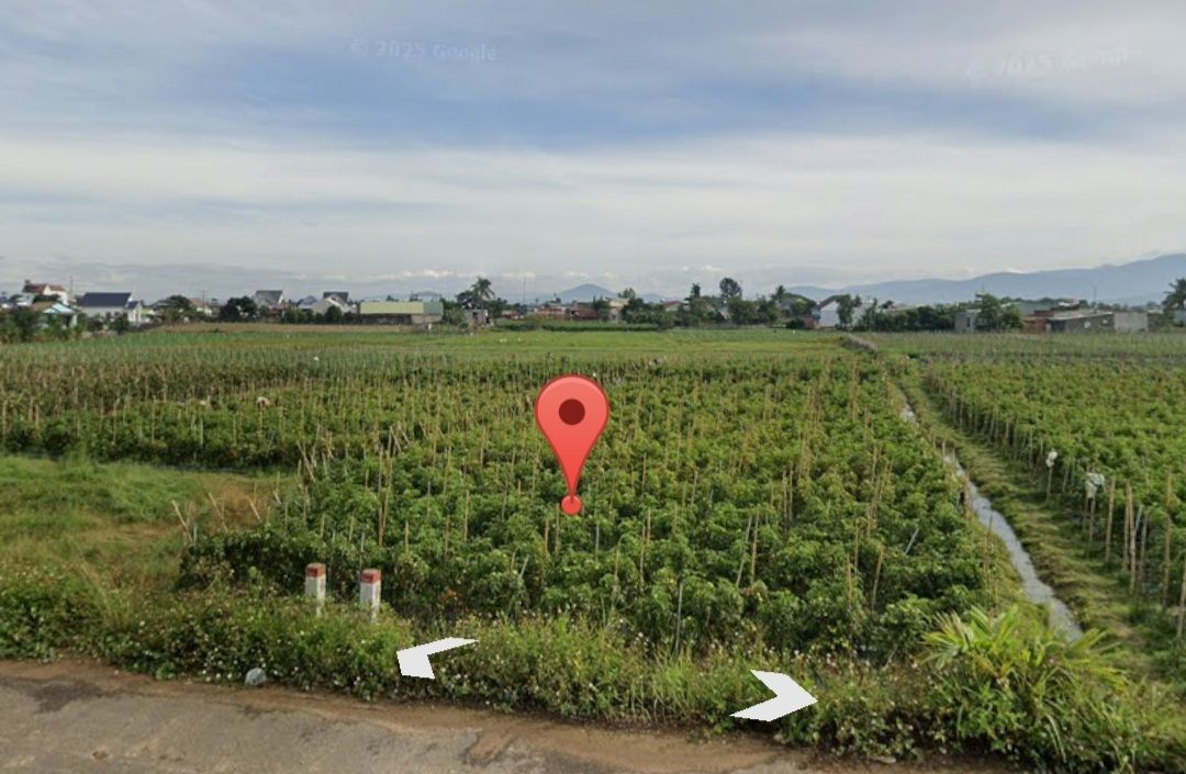 Đất cho thuê 7 xào tại Phú Hội, Lâm Đồng - Điện nước đầy đủ!