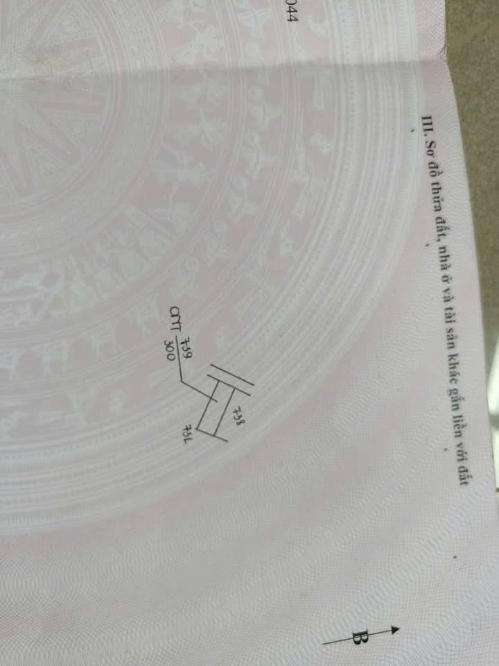 Đất nền 300m² Thị trấn Liên Nghĩa giá chỉ 3.75 tỷ - Cơ hội đầu tư tuyệt vời!