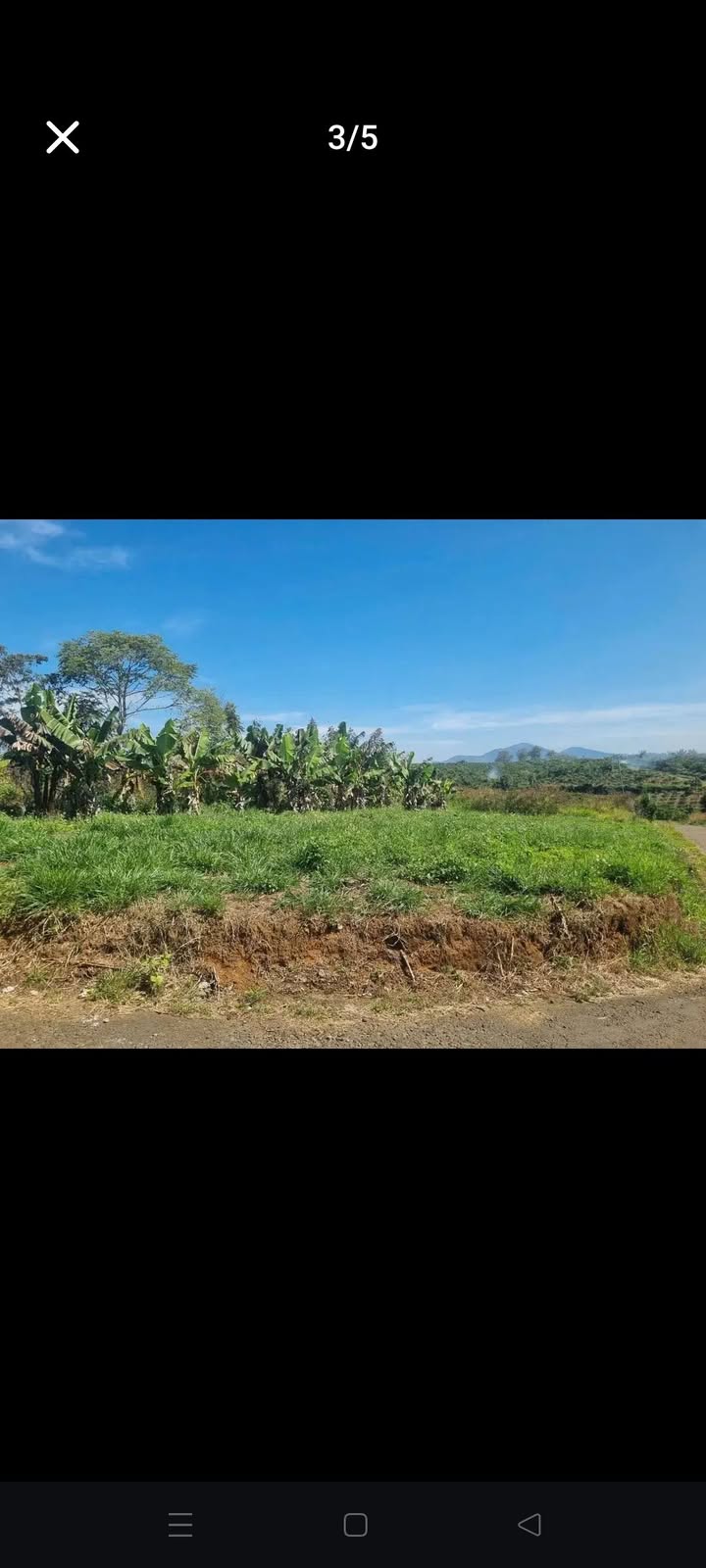 Đất thổ cư 100m² tại Lộc An, 465m² giá chỉ 1.25 tỷ - Cơ hội đầu tư hấp dẫn!