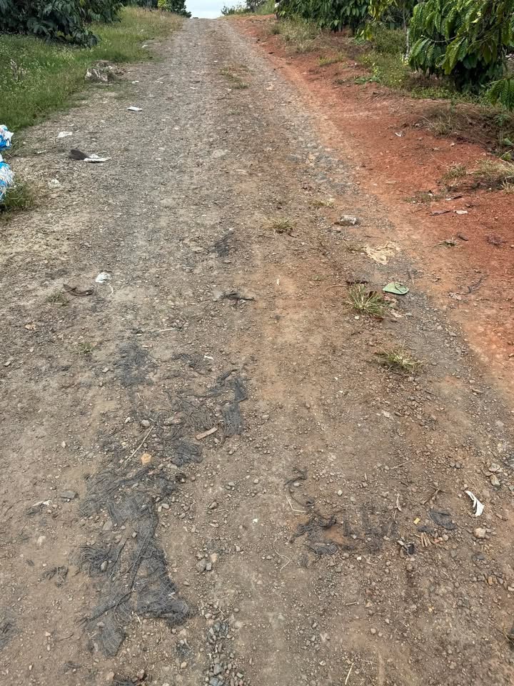 Đất Hòa Bắc, Di Linh 4064m² giá 930 triệu - Sổ đỏ chính chủ!