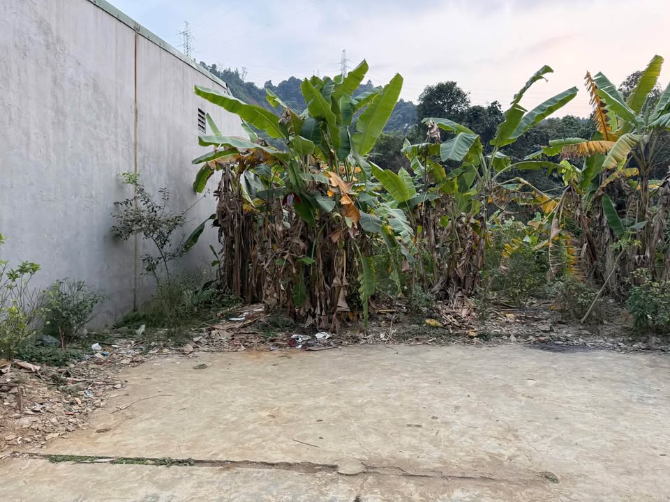 Đất nền tại Đỉnh Dốc Ba Hơi, Sa Pa - 280m² giá 4.5 tỷ - Hướng Đông Bắc