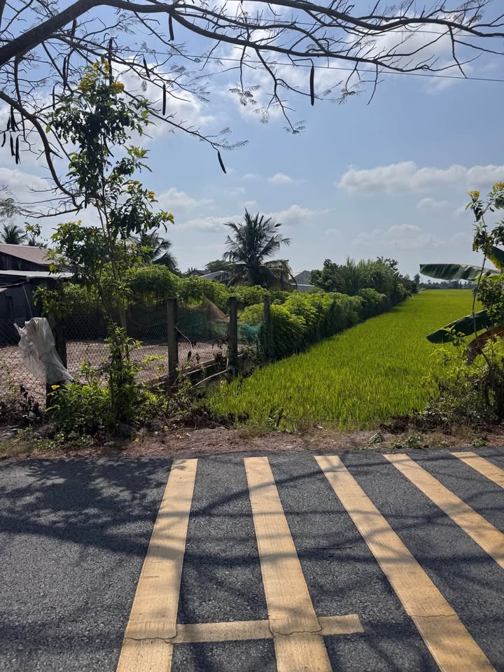 Đất nền mặt tiền đường Nguyễn Trọng Quyền, Cờ Đỏ 724m² - Tiềm năng phát triển lớn!