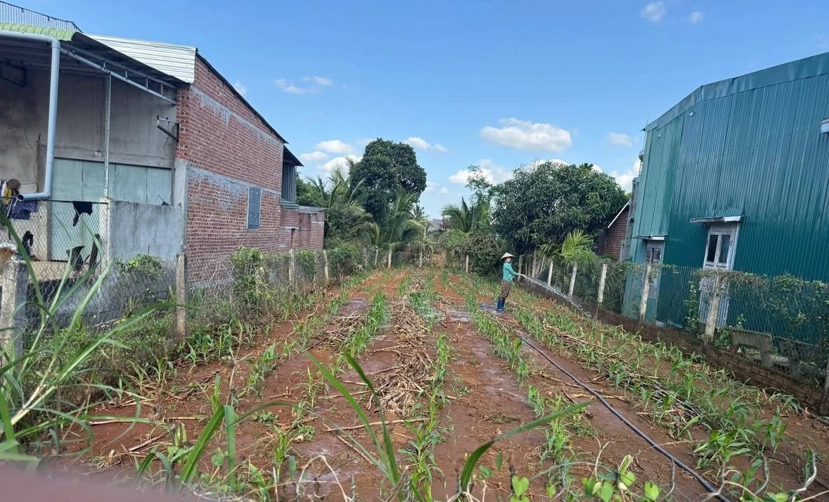 Đất Tt 719 Thị trấn Phước An 22m² giá 358 triệu - Cơ hội đầu tư hấp dẫn!