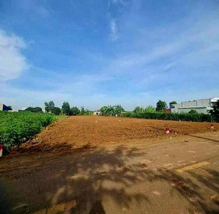 Đất nền tại Long Tân, Huyện Đất Đỏ, 800m² - Mặt tiền đường nhựa rộng rãi!