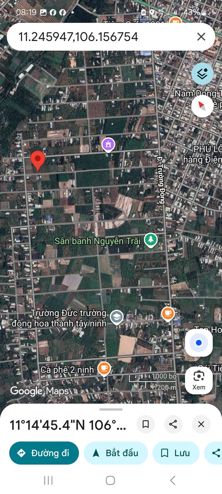 Đất thổ cư Hẻm 29, Đường Trường Đông, Tây Ninh 250m² giá 500 triệu - Cơ hội đầu tư tuyệt vời!