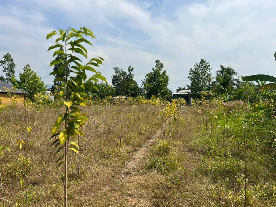 Đất nền đường Nhựa Quốc Oai, Thủ Đức 470m² giá 51.7 tỷ - Cơ hội đầu tư tuyệt vời!