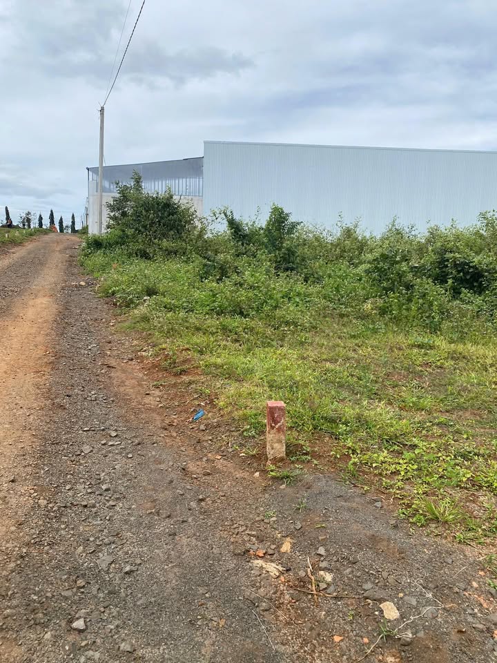 Đất nền đường Lý Chính Thắng, Phường An Phú, 175m² giá 400 triệu - Đầu tư sinh lời ngay!