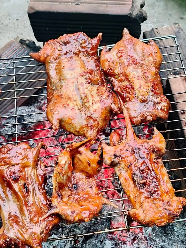 Đất vườn nghỉ dưỡng Tiền Giang 4400m² giá 1.55 tỷ - Cơ hội đầu tư lý tưởng!