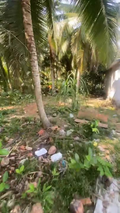 Đất mặt tiền Ấp Trung B, Nhị Bình, 442.2m² giá 720 triệu - Cơ hội đầu tư sinh lời!