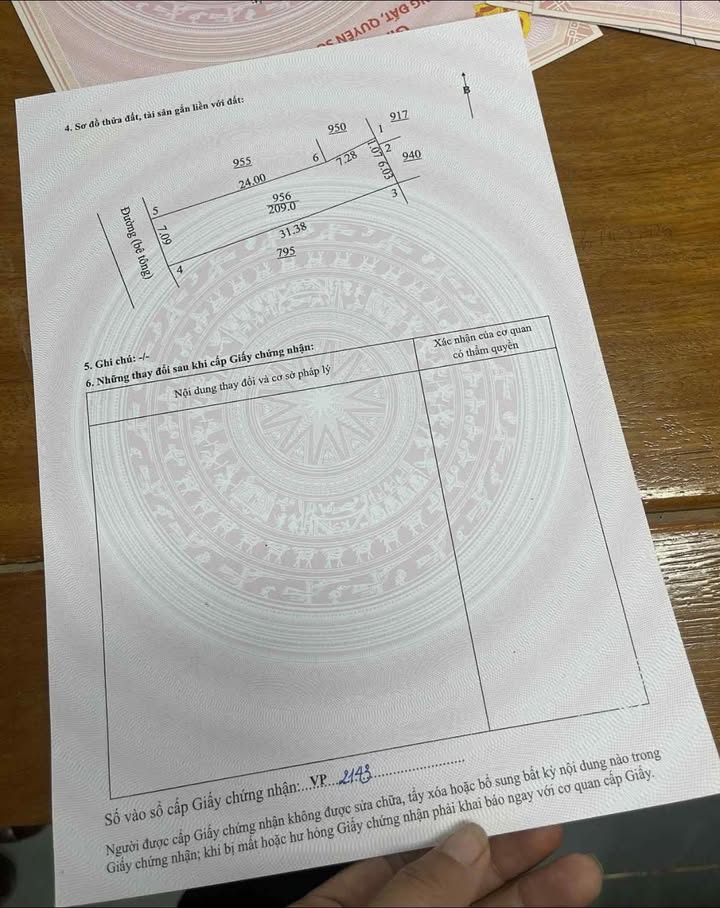 Đất thổ cư Vĩnh Linh 217m² giá chỉ 200 triệu - Sổ hồng chính chủ