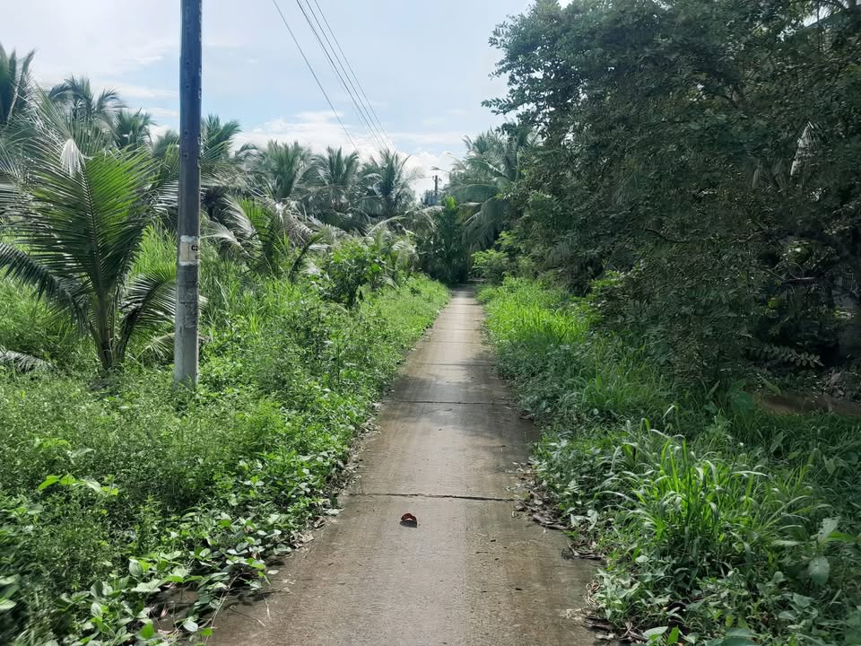 Đất nền Ấp Ô Tưng B, Xã Châu Điền, 440m² giá 220 triệu - Cơ hội đầu tư hấp dẫn!