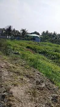 Đất nền chính chủ xã Trung Thành Đông 636,4m² giá 1 tỷ - Cơ hội đầu tư tốt!