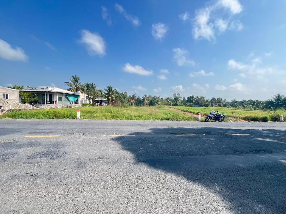 Đất nền mặt tiền Bốn Tổng - Một Ngàn 1950m² giá 3.8 tỷ - Phù hợp kinh doanh!