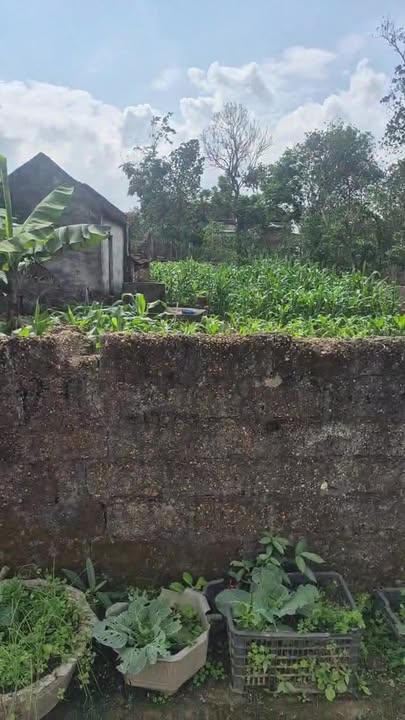 Đất nền Nam Thanh, Huyện Nam Đàn 240m² - Gần chợ, đường rộng 6m