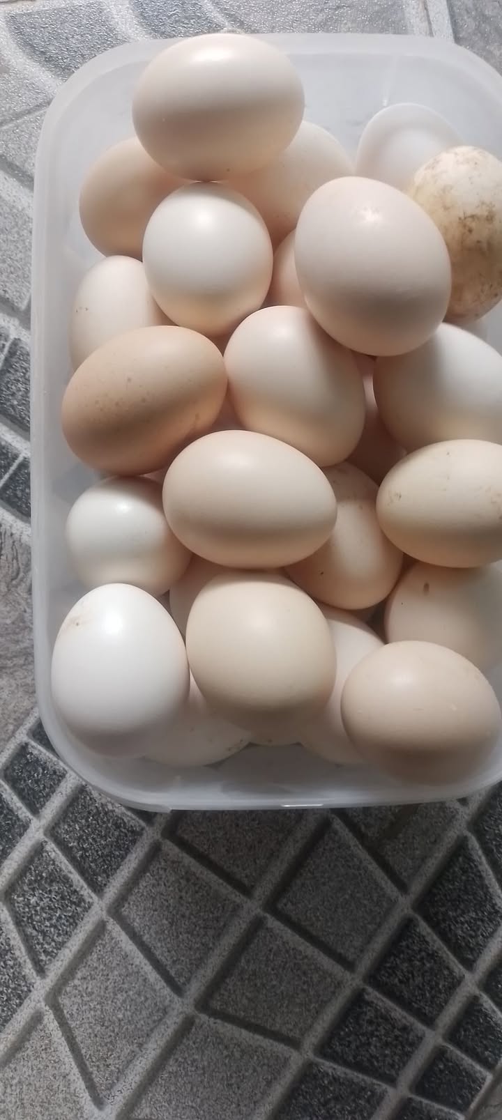 Đất nền Thị trấn Ba Hàng Đồi 3000m² giá cực tốt - Cơ hội đầu tư hiếm có!