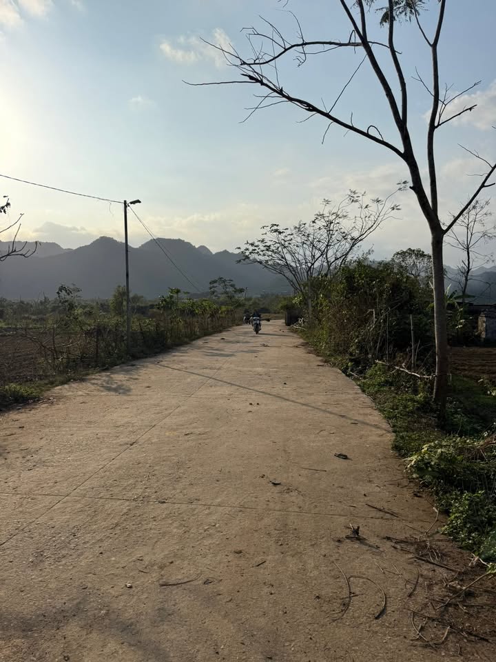 Lô đất đẹp tại xã Cúc Phương, Nho Quan, 342m² - Cơ hội đầu tư hấp dẫn!