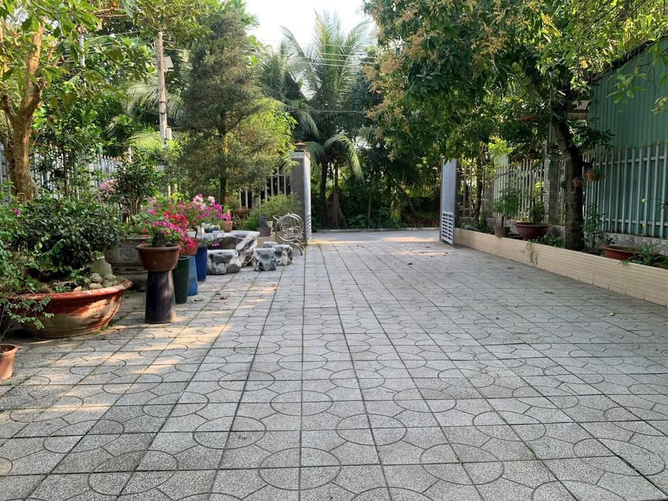 Nhà vườn Bình Nhâm, Thuận An, 375m² - Sẵn sàng vào ở ngay!